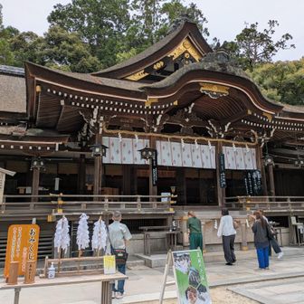 参拝してから、お祓い棒で私と靴をお祓い。✨️