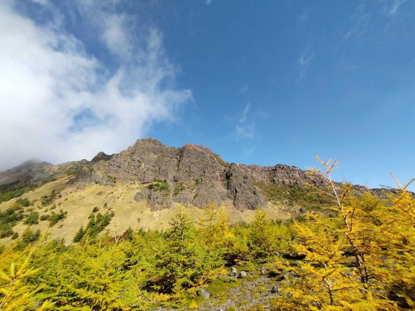 カラマツの黄葉と外輪山
