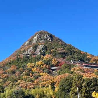 外から見るとかっこいいお山です🥰