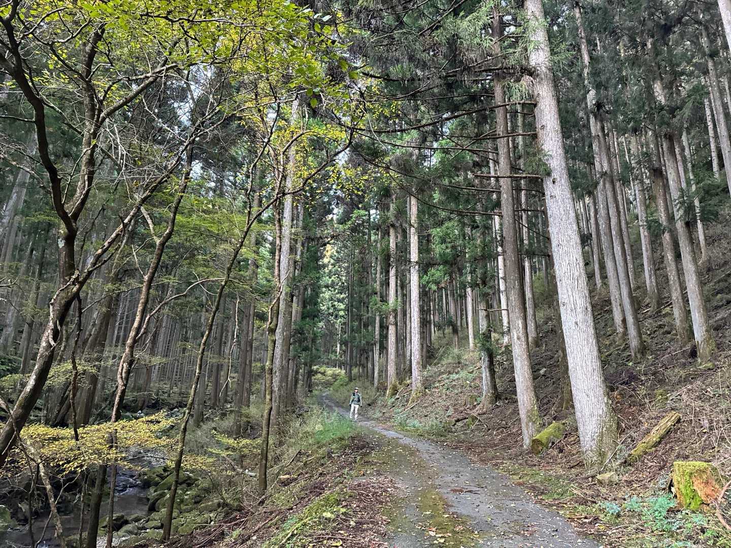いきなり置いてかれた…