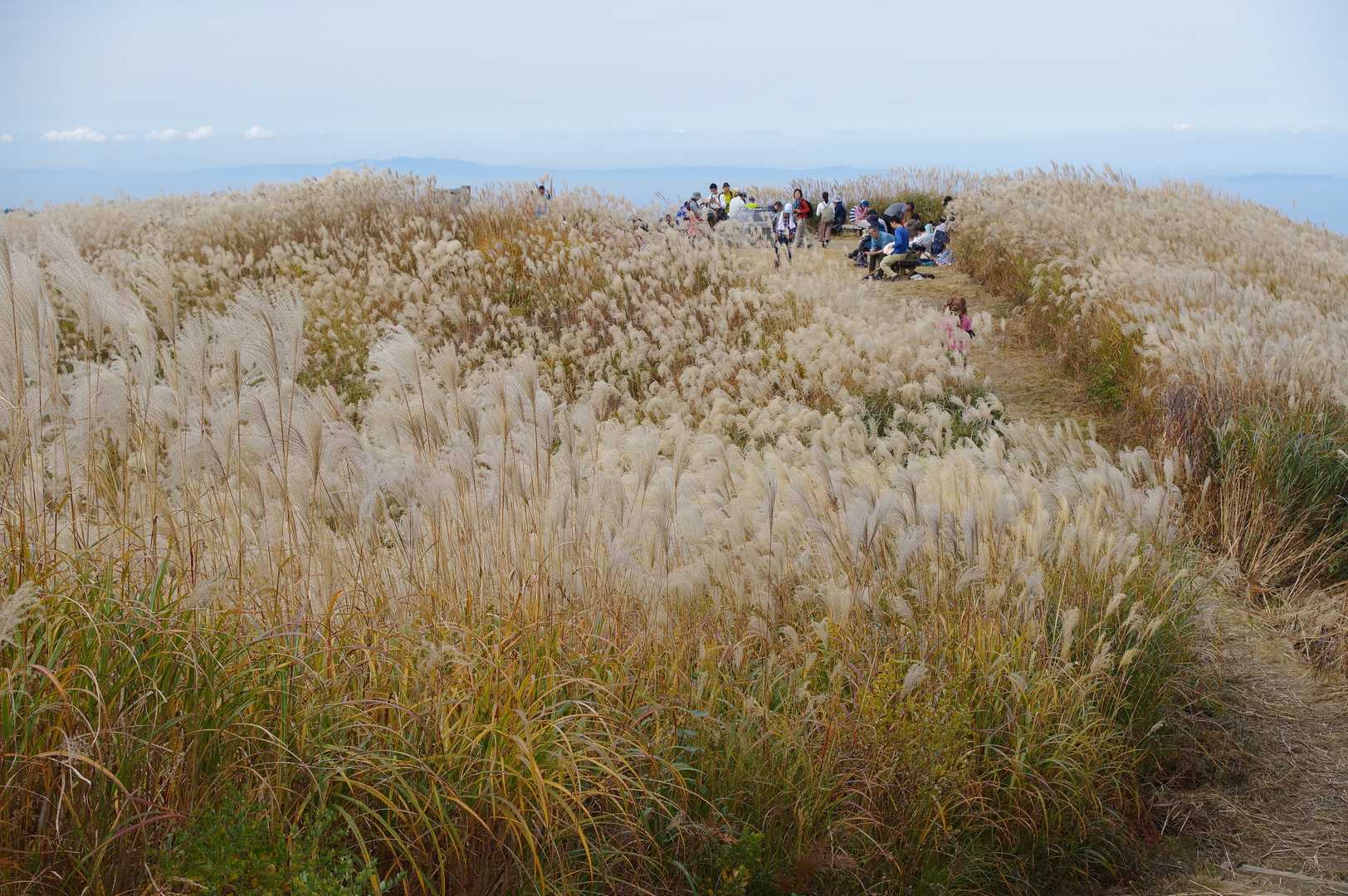 季節の変わり目に、ダイヤモンドトレールで岩湧山への写真