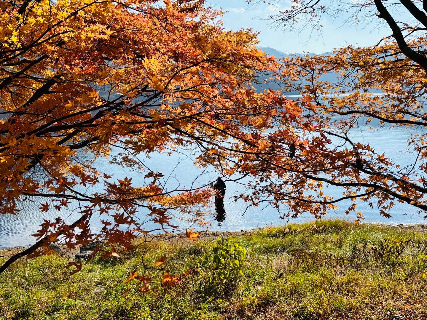 烏帽子岳登山口-烏帽子岳登山口バス停-榛名高原学校入口バス 周回コースの写真