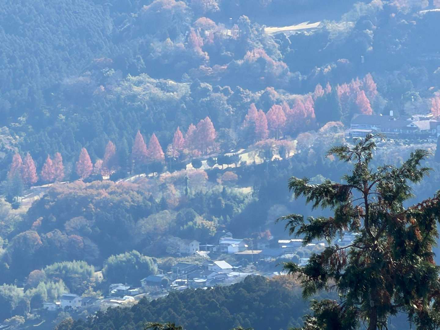 ニョキニョキしてる🤭