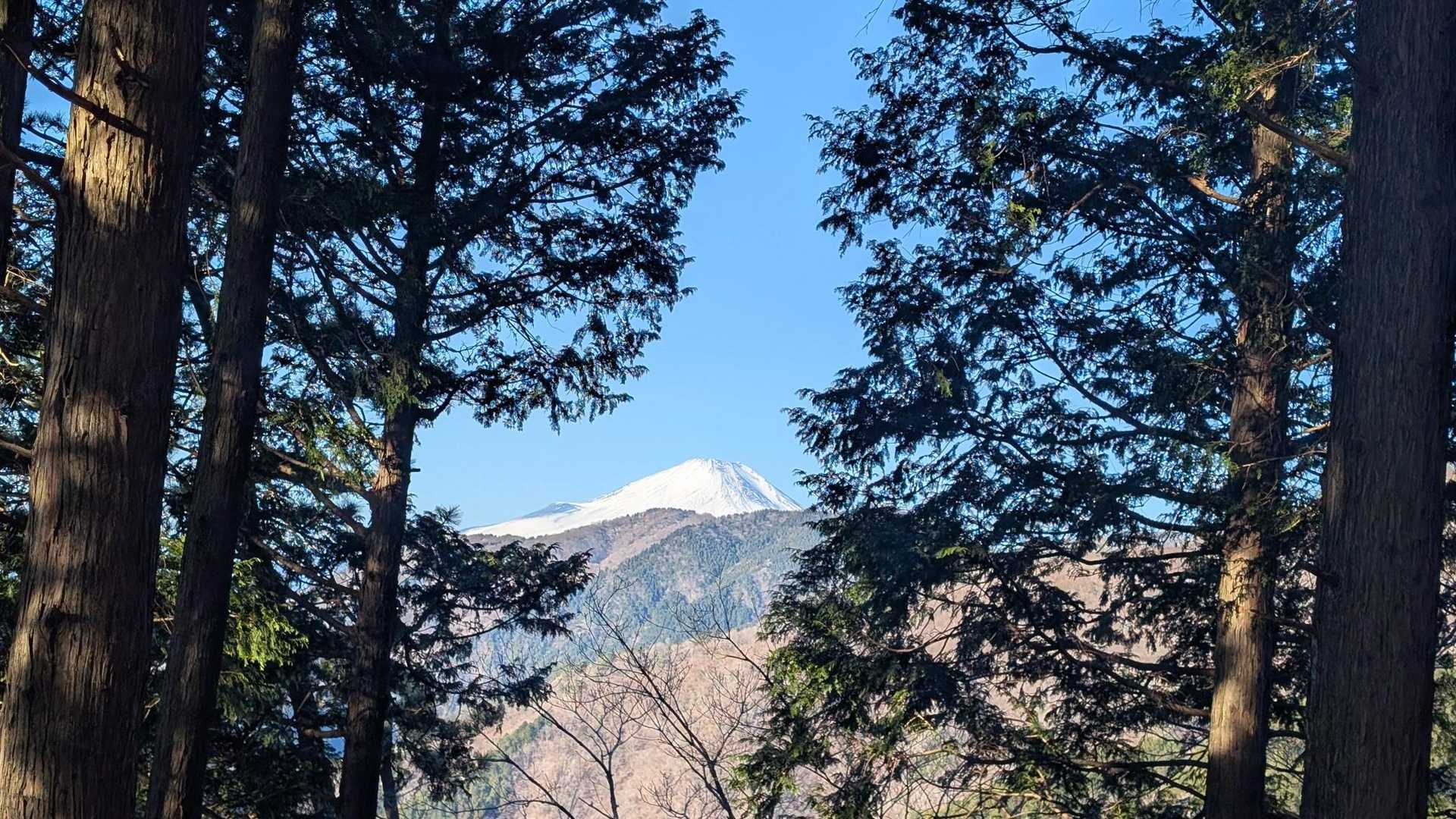 堀山の家の前から富士山🗻