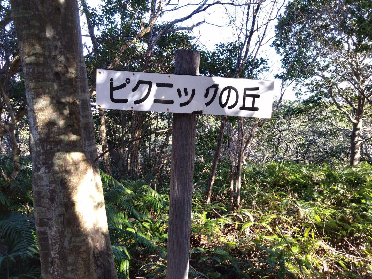 いや、ここじゃ無理💦
