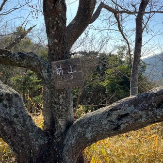 前山です、暑い〜