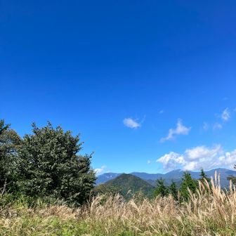 水ヶ森と金峰山、先日の北奥千丈岳も✨✨