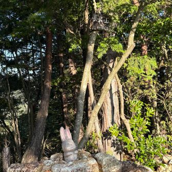 長良山の山頂標識。