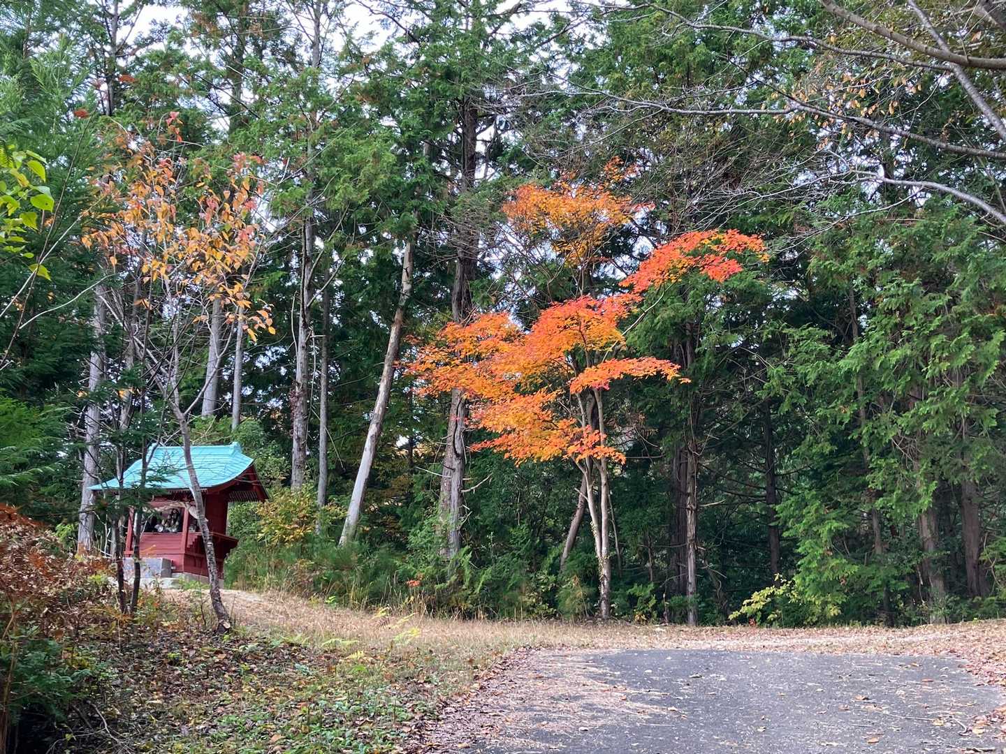鍋足山 往復コースの写真