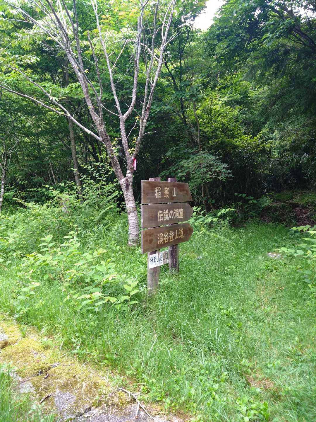 稲村ダム登山口スタート
登りは洞窟コース行きます