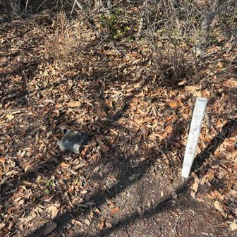 山頂は展望無し