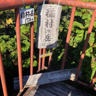 展望台景色最高🤔