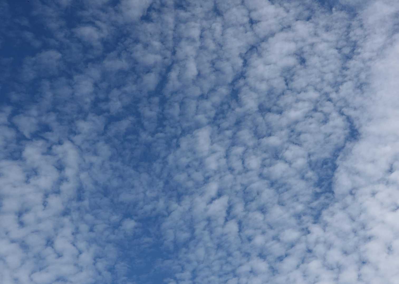 空にはうろこ、あるいはひつじ。