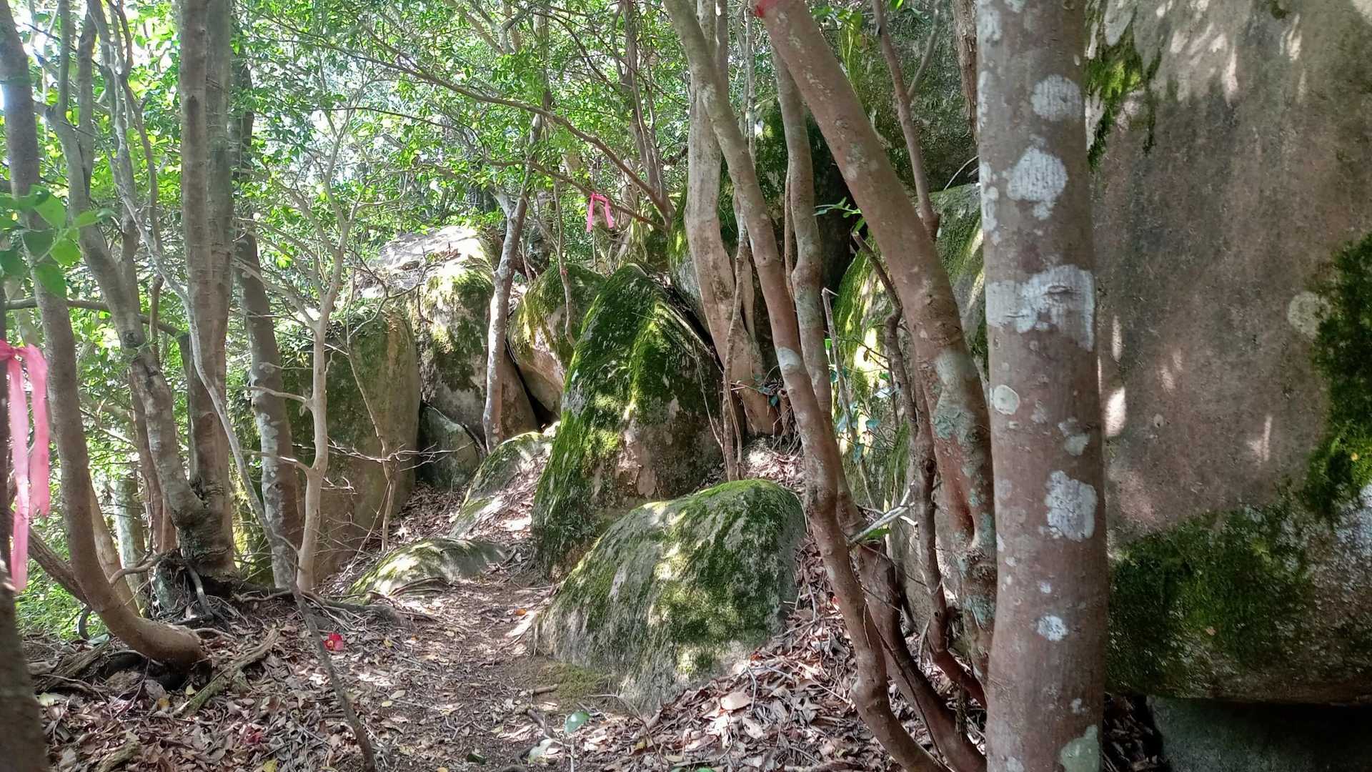 岩岩してきた