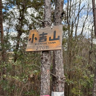 小吉山とうちゃく