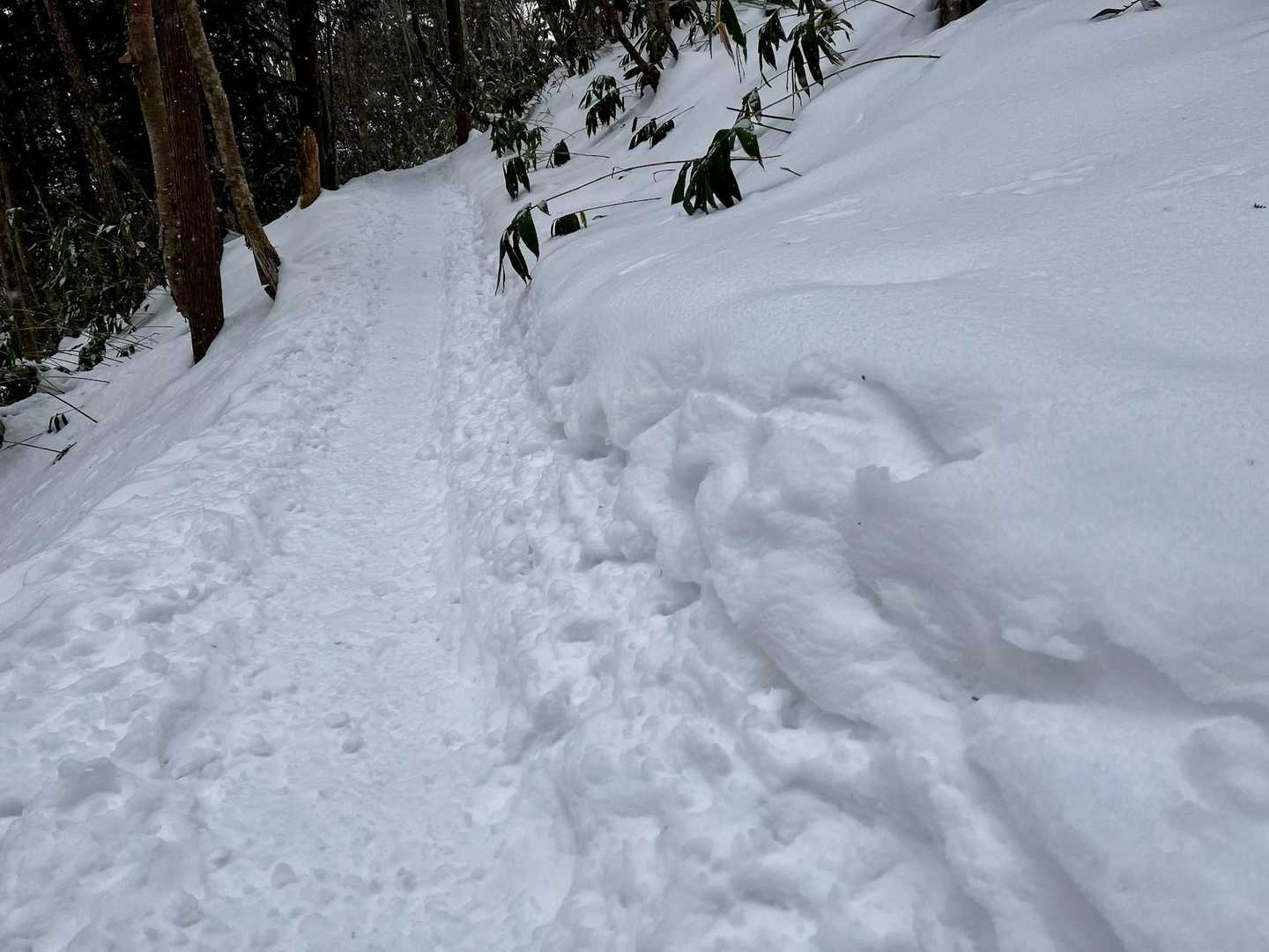南沢山登山道入口-南沢山 往復コースの写真