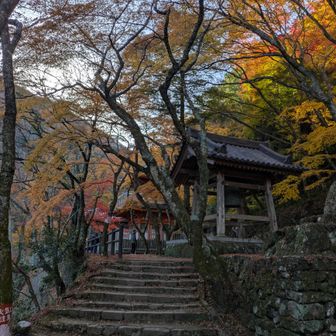 大威徳寺の境内