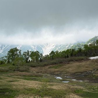 展望湿原から見た大雪渓