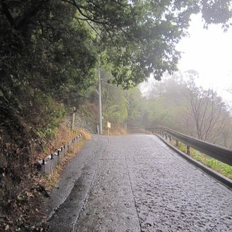 金毘羅台分岐。期待していたイナモリソウは見つけることが出来なかった。