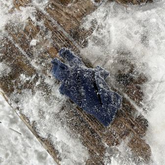 どなたかの手袋。明神岳山頂から桧塚奥峰に向かう坂道で拾いましてとりあえず明神岳の休憩場所に置きました。