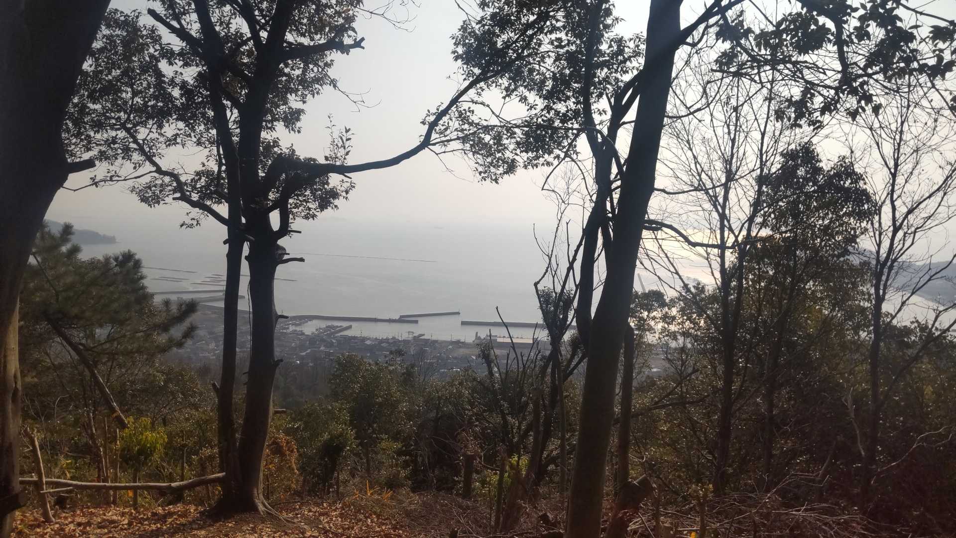 竜王山 往復コースの写真