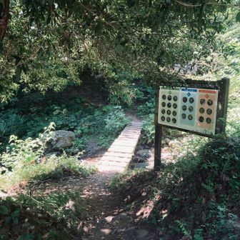 水無登山口より