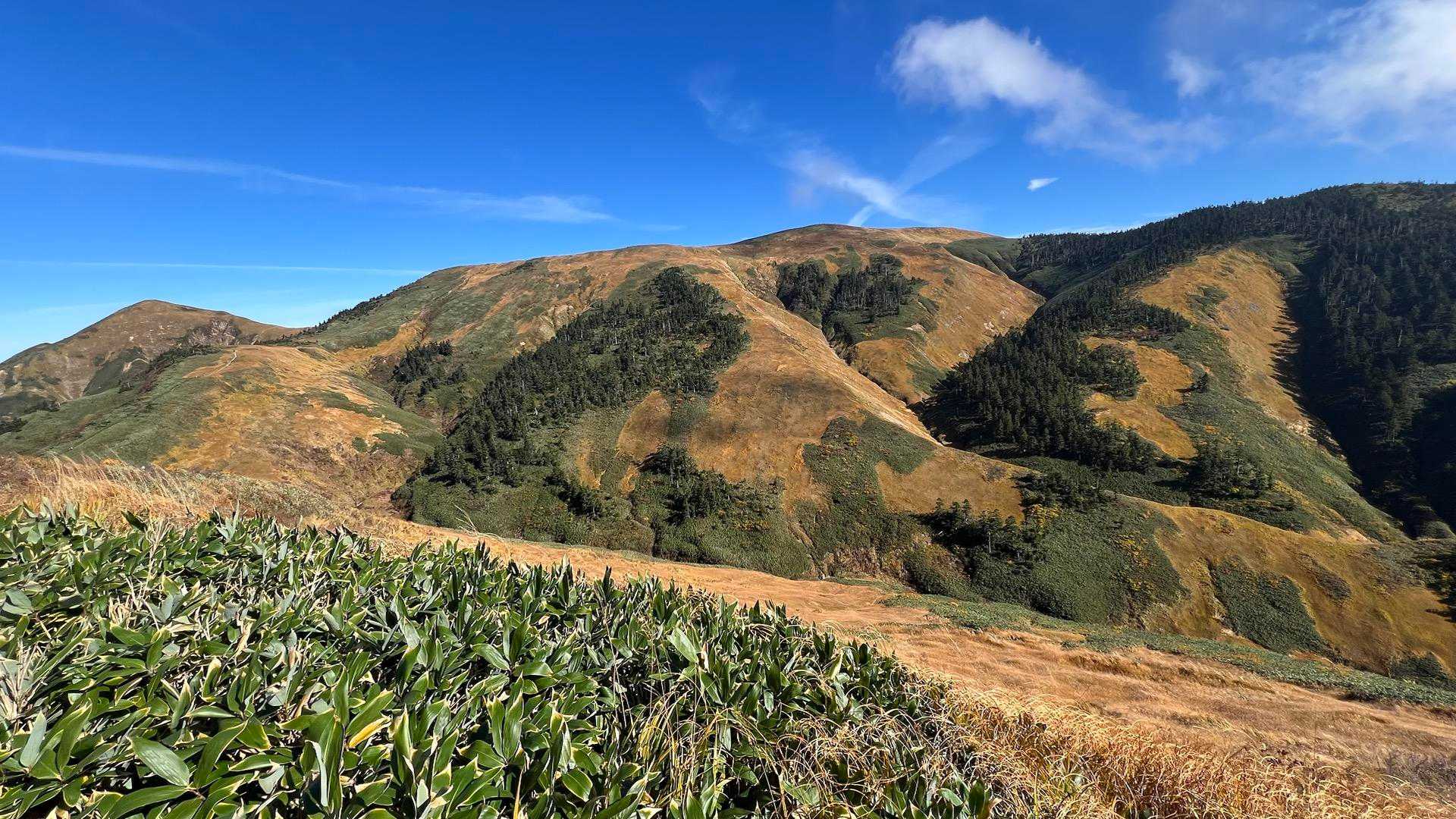 井戸尾根コース | 「ニセ巻機山」を越え、池塘と草原広がる織姫伝説の山頂への写真