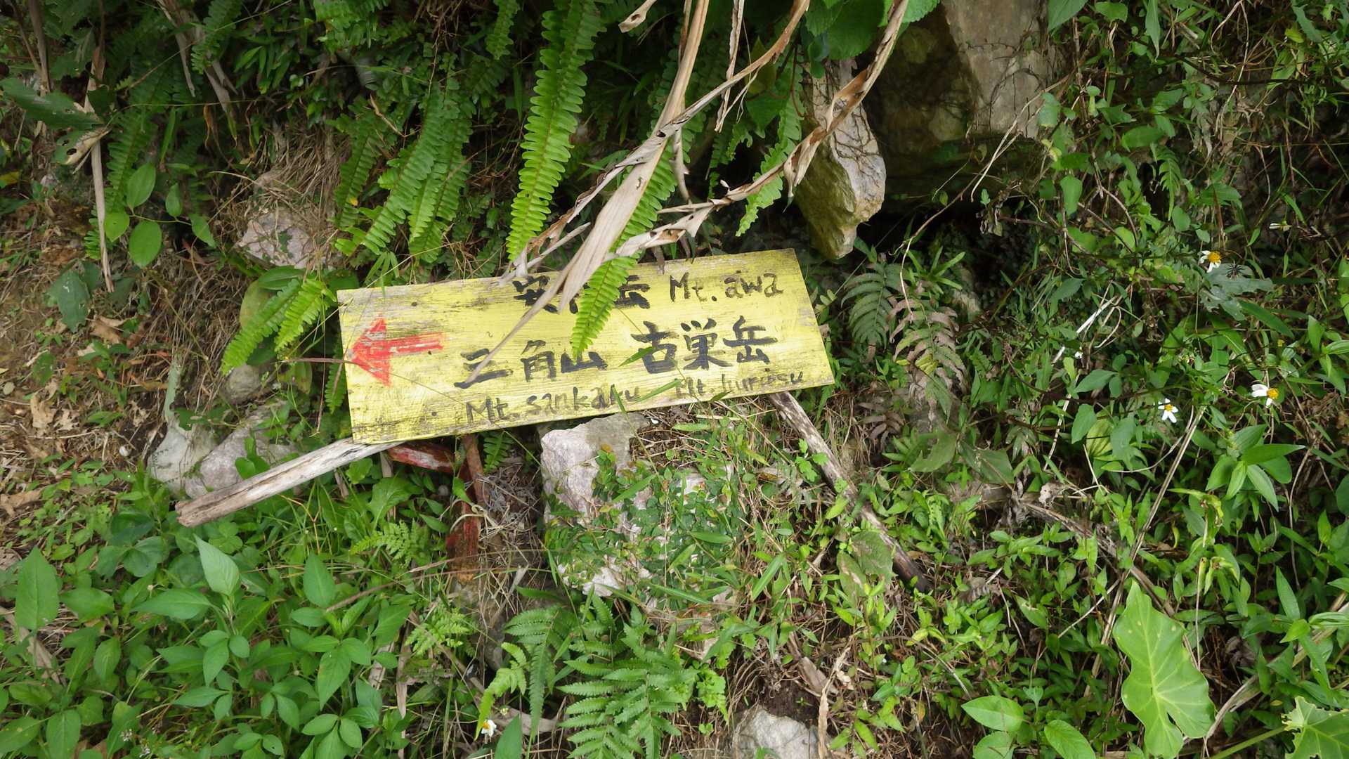 この道標を過ぎたあたりから山道が始まり、