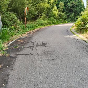 しばらく車道を歩きます