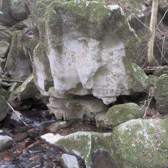 ｺｳｿﾞｳ (ﾌｸﾛｳ)岩