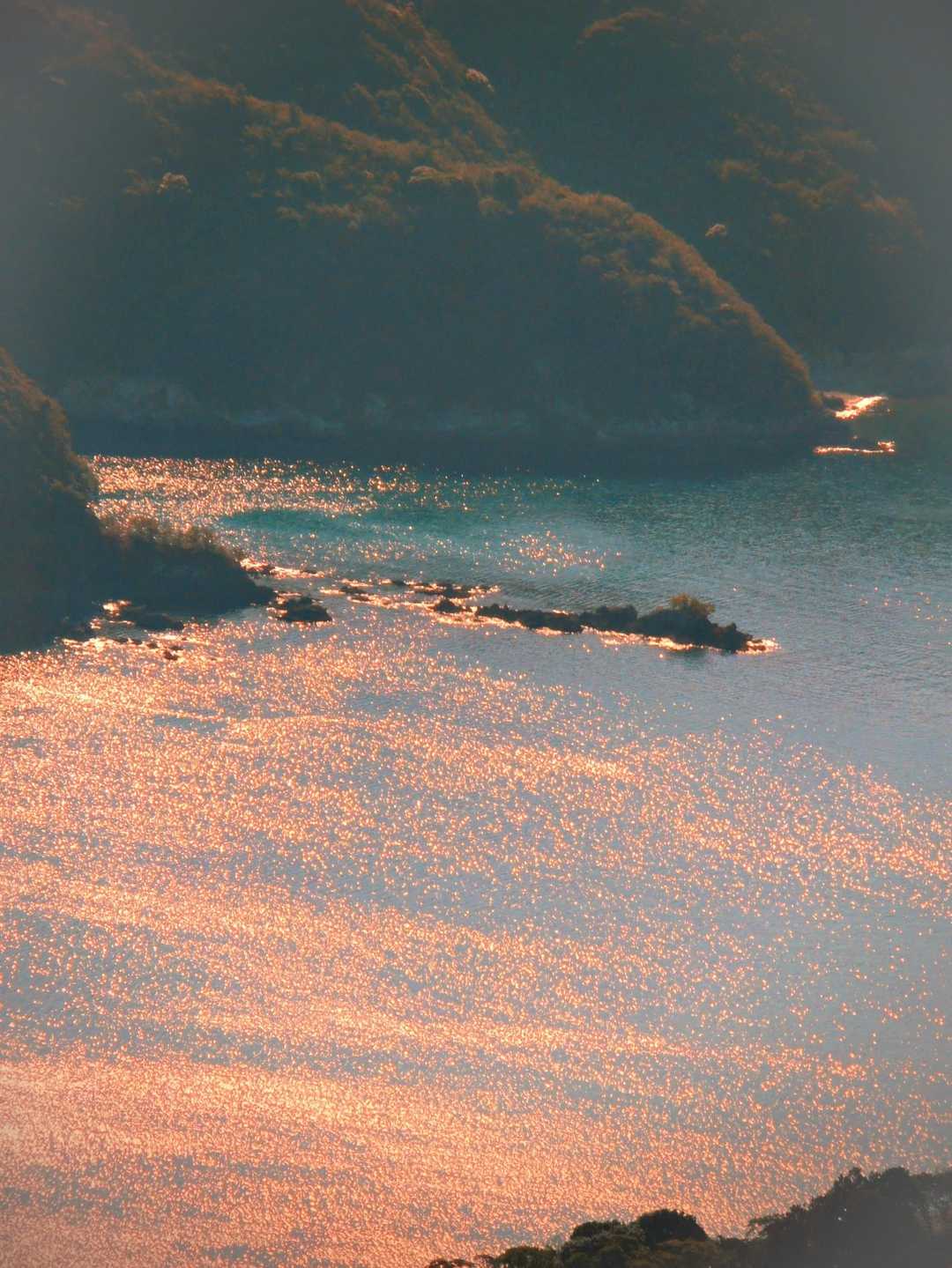 高山登山口-高山 周回コースの写真