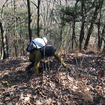 そして、激登り💦
純くんに車力の巨人と呼ばれてる私は、4本足歩行😆