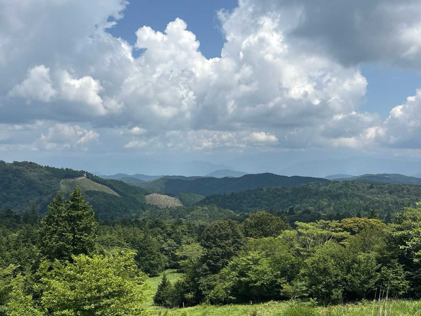 ここからの景色きれいでした