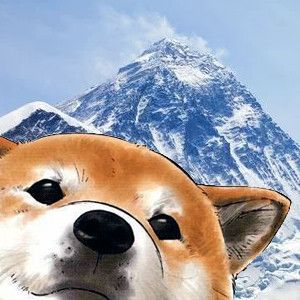 inu