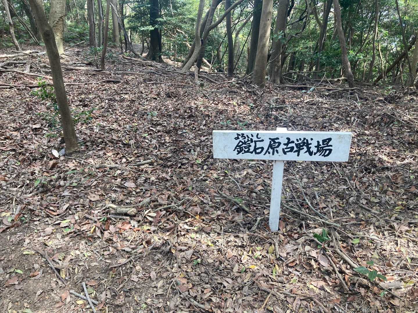 もうお馴染み😊