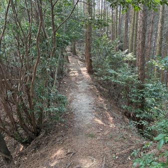 尾根歩きが楽しいです♪