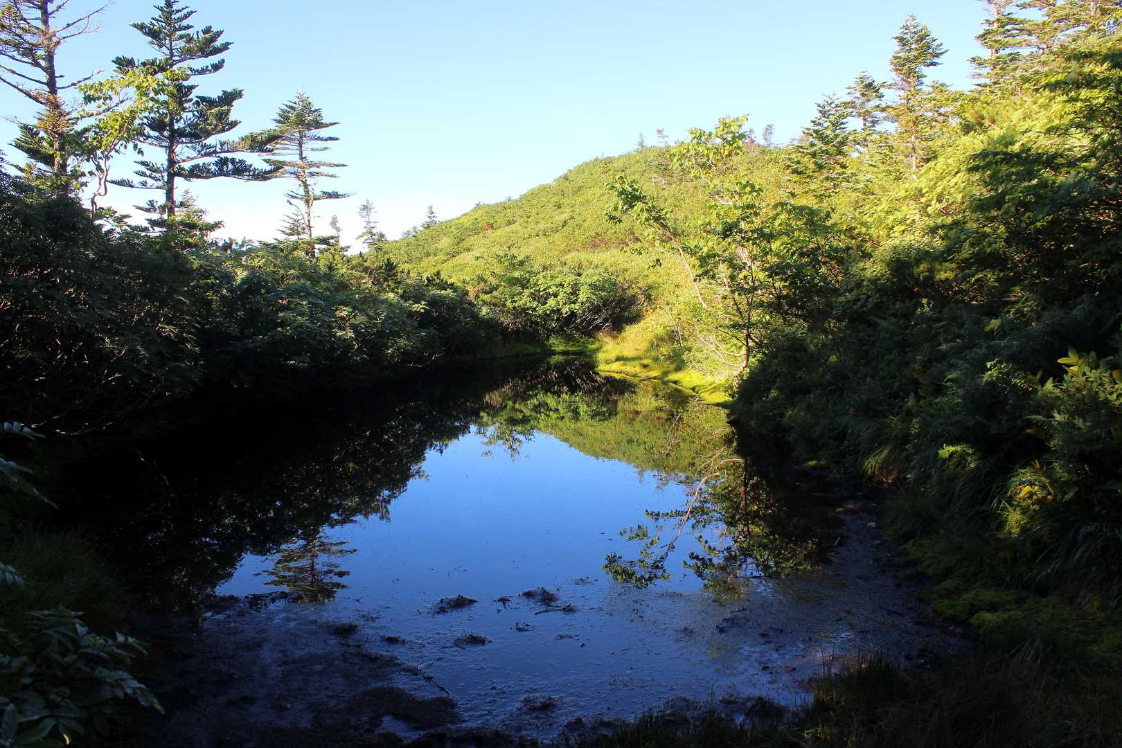 なだらかな大滝山山頂部には、雲上に小さな池塘が点在します。