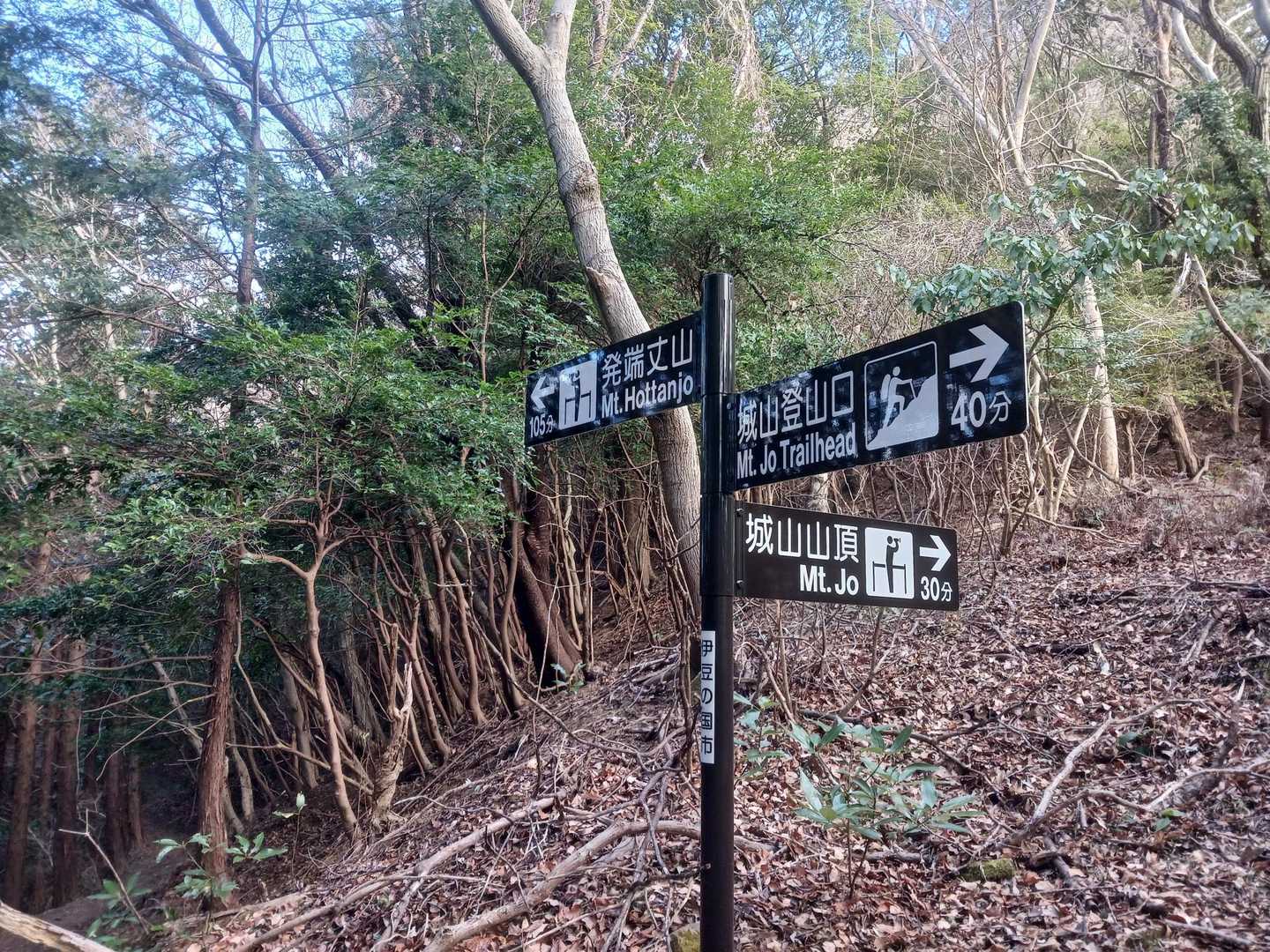 分岐　案内親切です