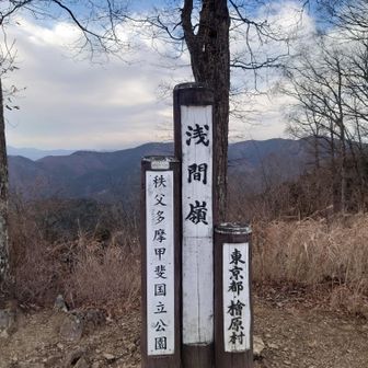 払沢の滝駐車場をスタートして浅間嶺に到着。
雲が多くて富士山は見えない。