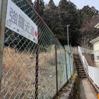 再び歩くはずでなかった強羅近道