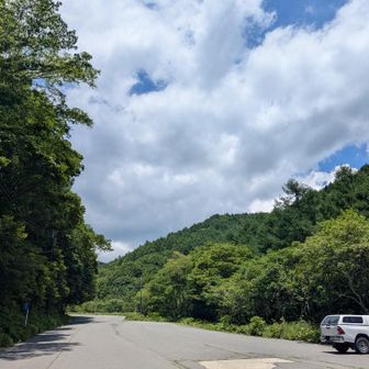 山側はガスってる