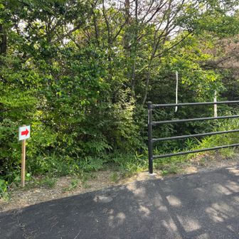ここからNスタキャンプ場を抜けて再度トレイルへ入ります。