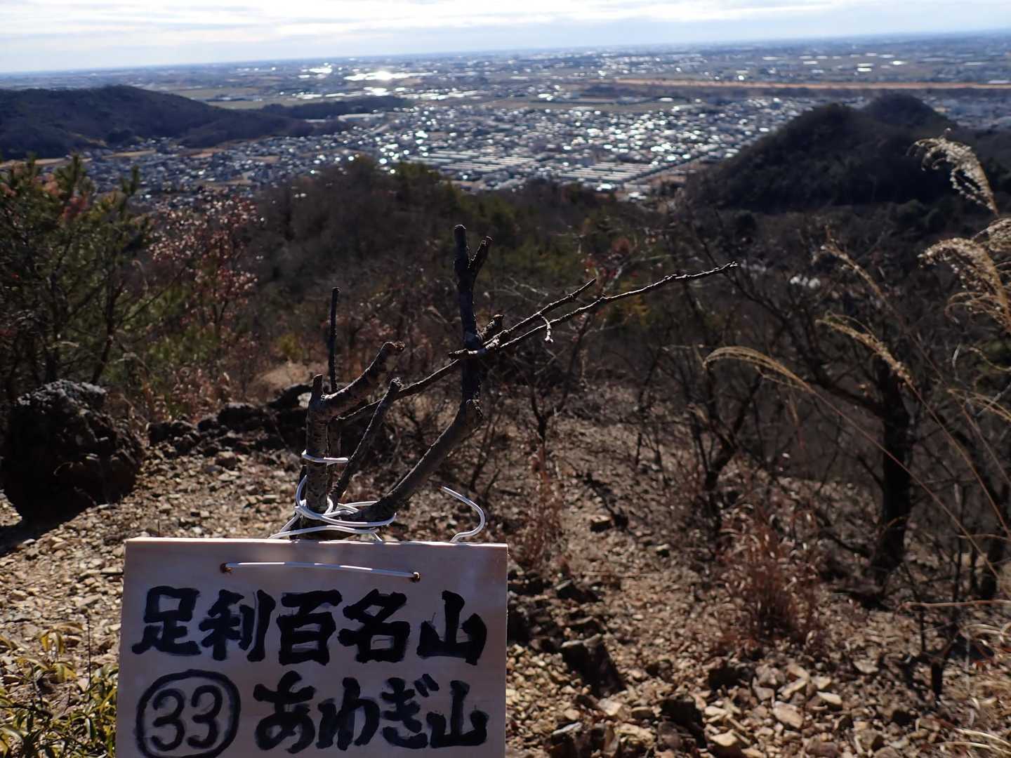 あわぎ山　さんちょ