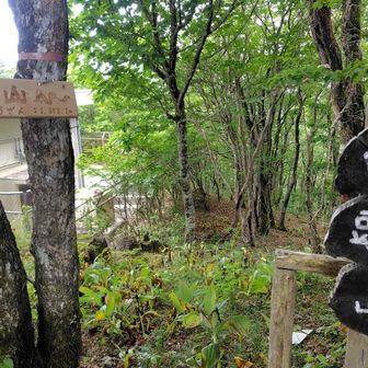 山頂