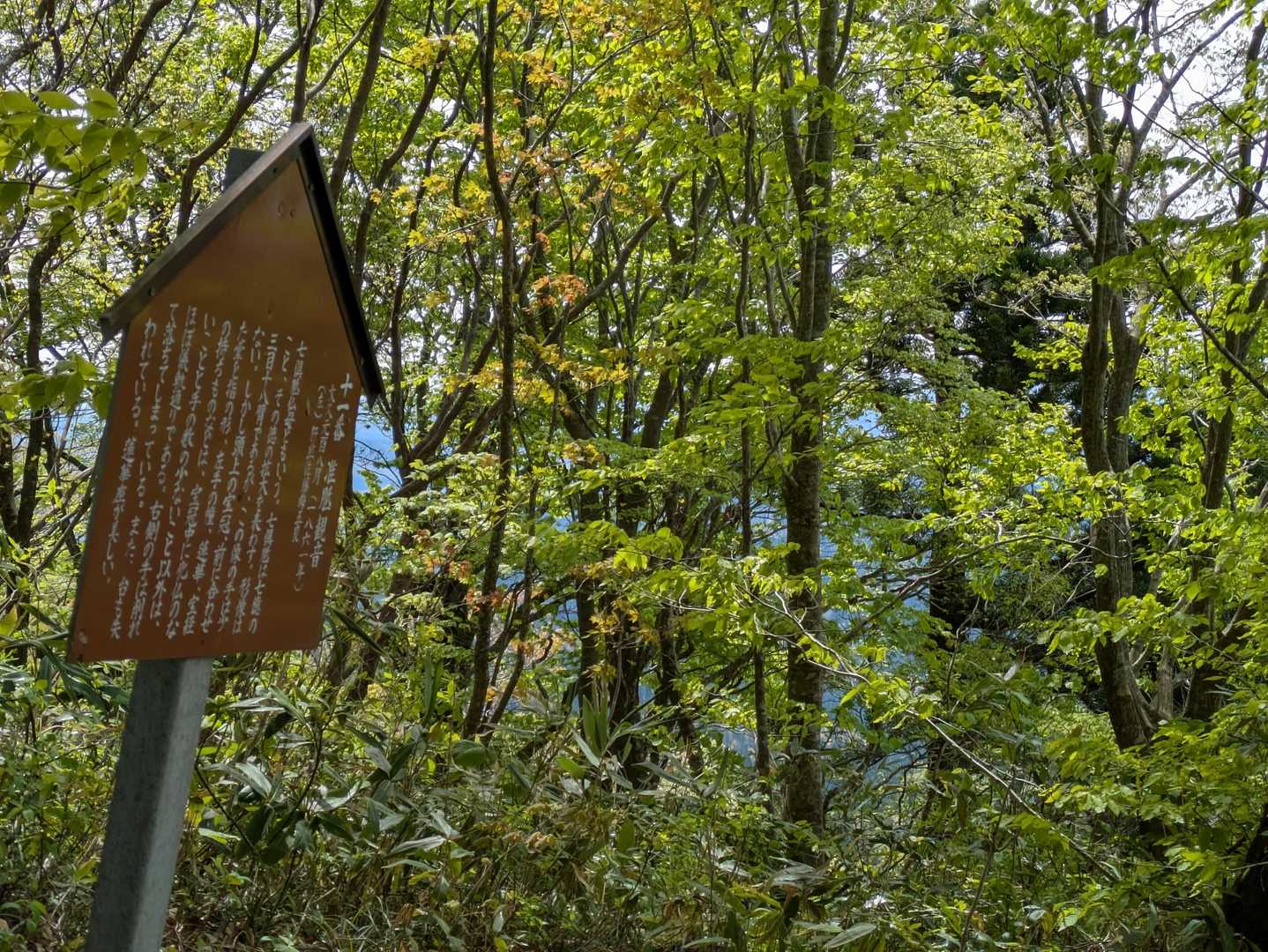 全員落ちないで登り切りました🥰
