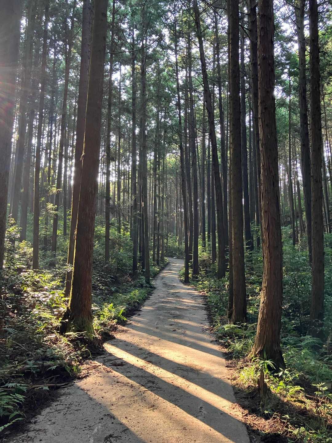 意外と涼しい…