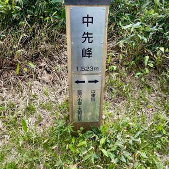 中先峰1523m🙌🏻