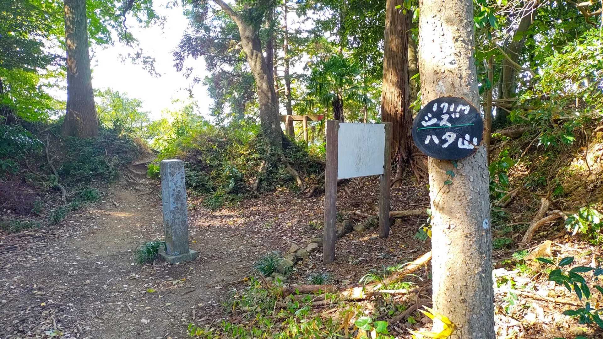 賤機山