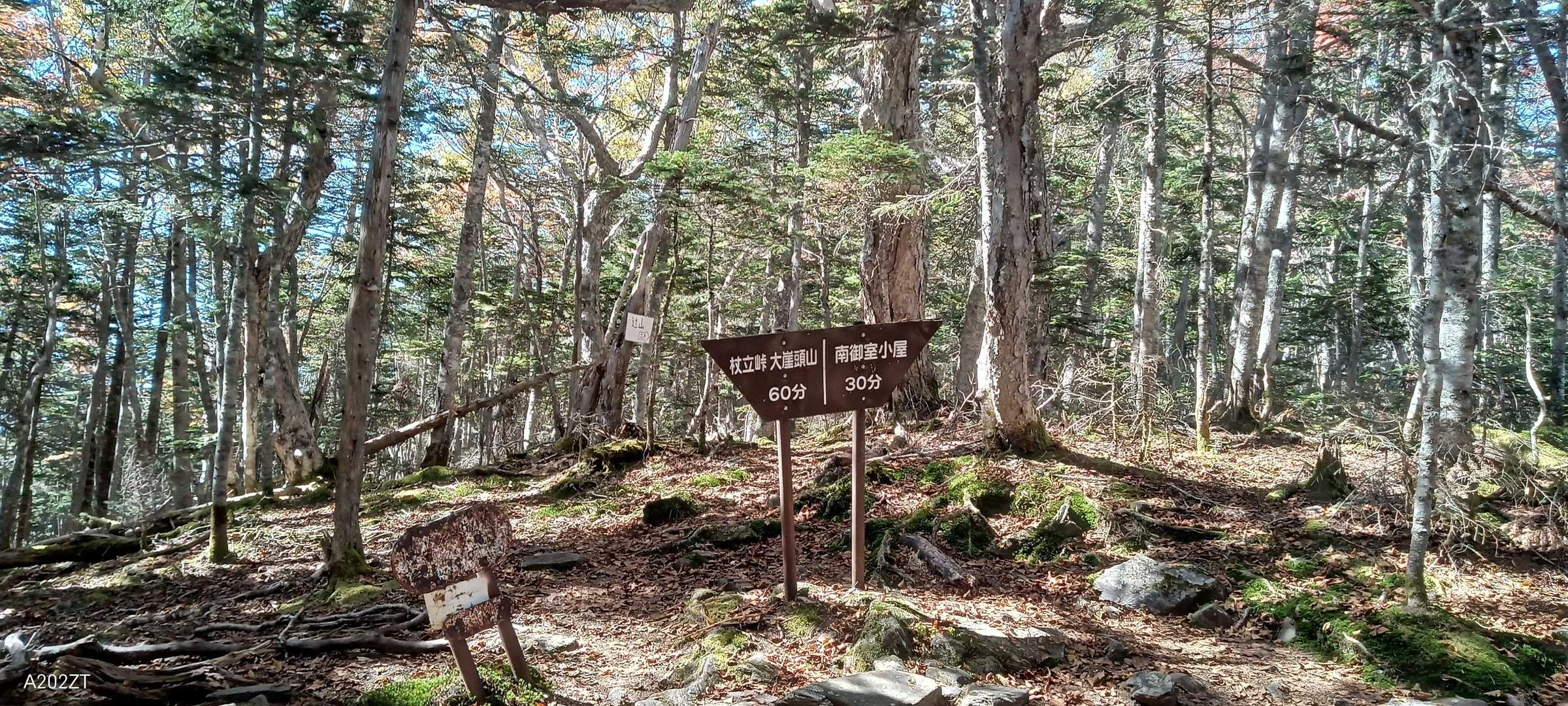辻山は無理でした（笑）