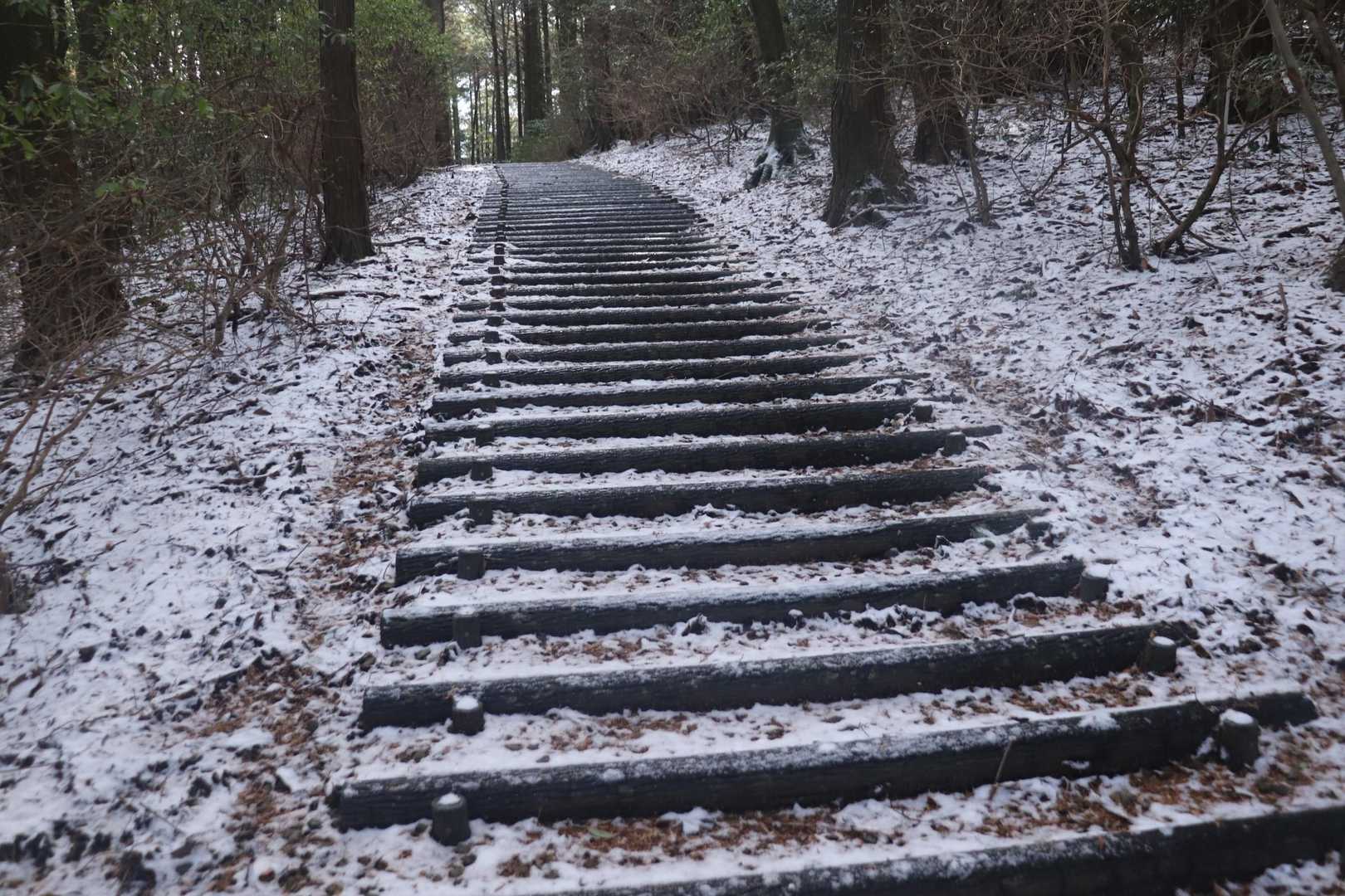 雪❄こんな階段が続きます